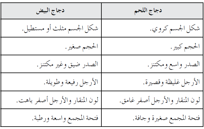 كيف تميز بين دجاج اللحم ودجاج البيض من حيث الصفات الشكلية؟ 